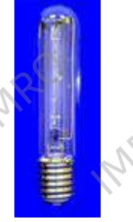 108504 Double envelope (lode) halogen lamps