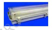 Watertight lighting fittings (IP65), base: reinforced polyester, shade clear methacrylic 24 Volt DC