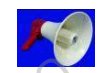Domestic Equipment - Megaphones