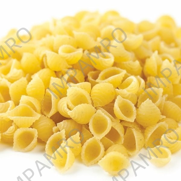 MACARONI SHELL BULK