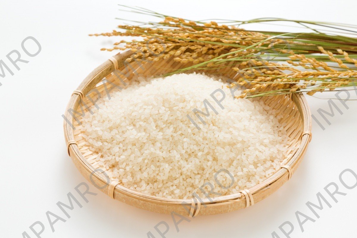 RICE JAPANESE GRADE A