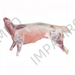 MUTTON CARCASS EVE MK UNDER