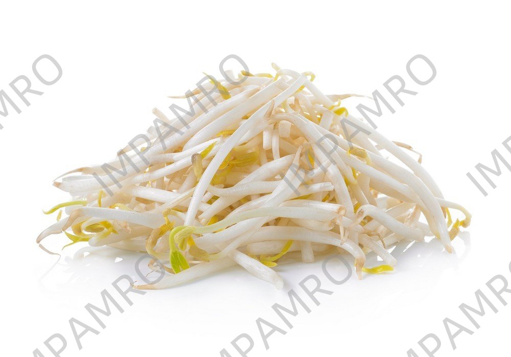 000106 BEAN SPROUT LARGE (SOYA) FRESH