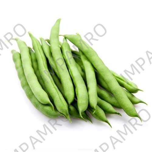000107 BEANS STRING FRESH