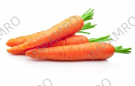 000117 CARROT TOPPED FRESH