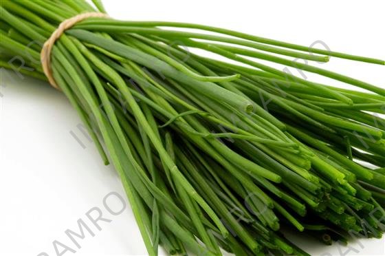 000122 CHIVES STEM FRESH
