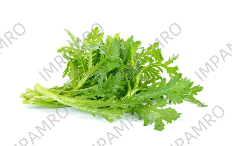 000134 GARLAND CHRYSANTHEMUM FRESH