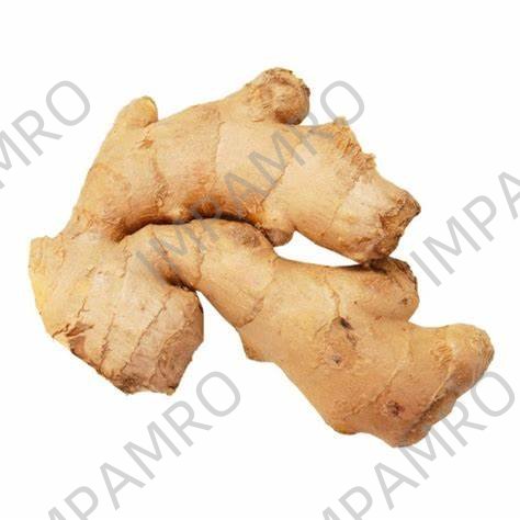 000136 GINGER ROOT FRESH
