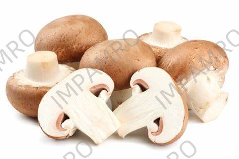 000149 MUSHROOM FRESH