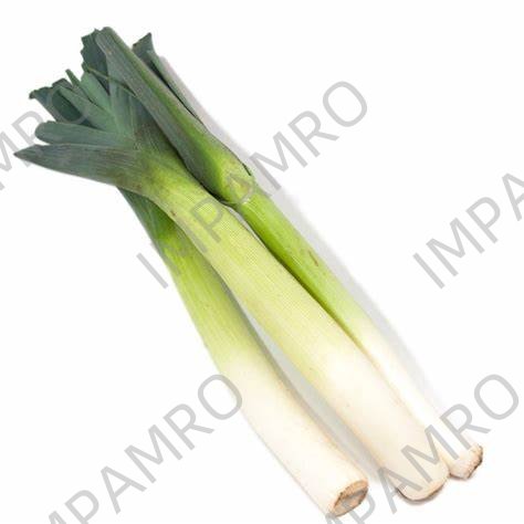 000140 LEEK FRESH