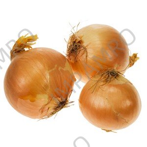 000158 ONION YELLOW DRY