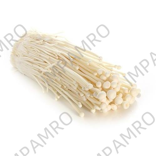 000151 MUSHROOM FRESH STRAW