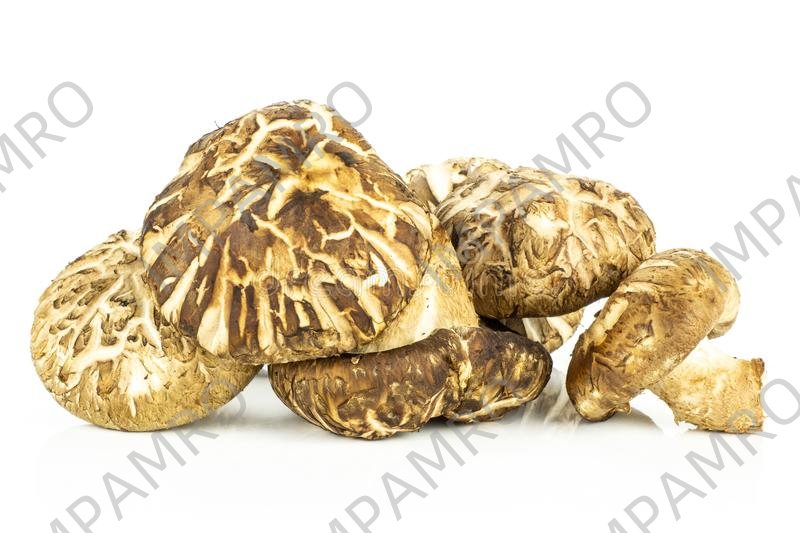 000152 MUSHROOM FRESH DARK (SHIITAKE)