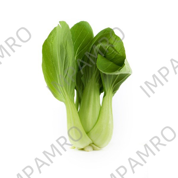 000161 PAC CHOI FRESH