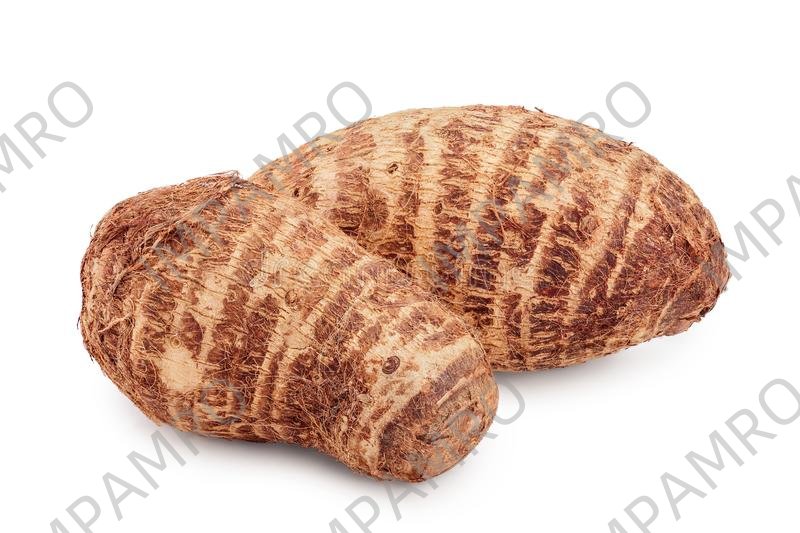 000186 TARO (SATOIMO) FRESH