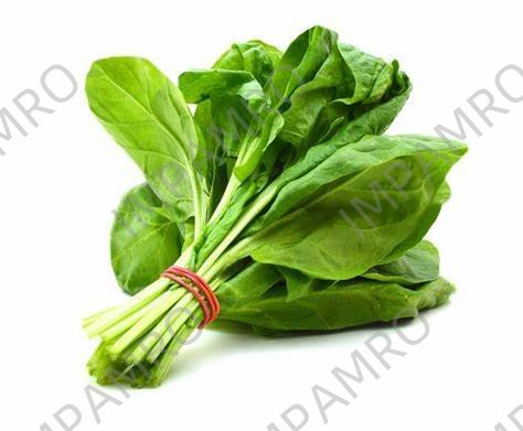 000182 SPINACH FRESH