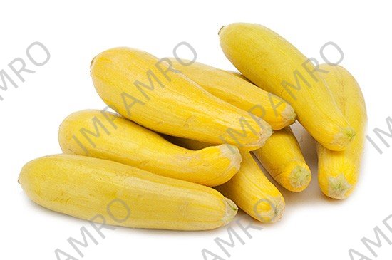 000183 SQUASH YELLOW