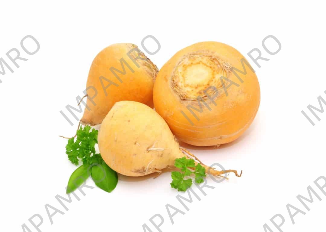 000191 TURNIP YELLOW FRESH