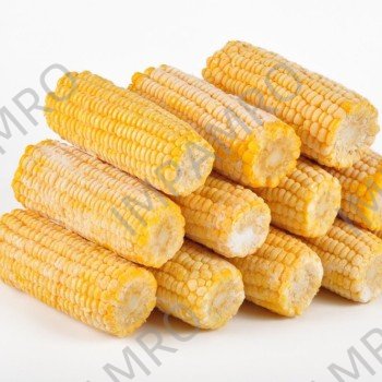 000324 CORN ON COB FROZEN