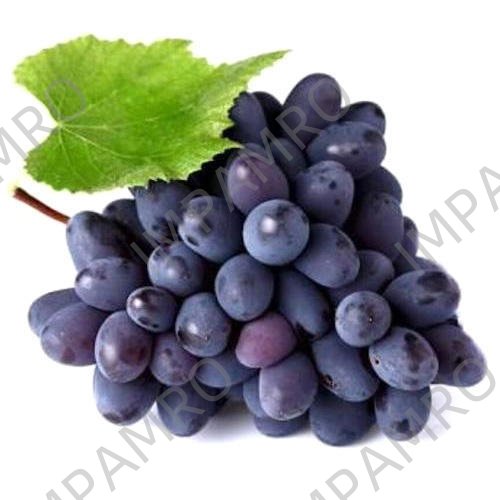 000526 GRAPE BLACK FRESH