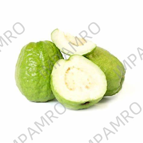 000532 GUAVA FRESH