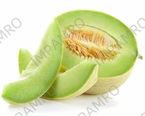 000545 MELON SWEET HONEYDEW FRESH