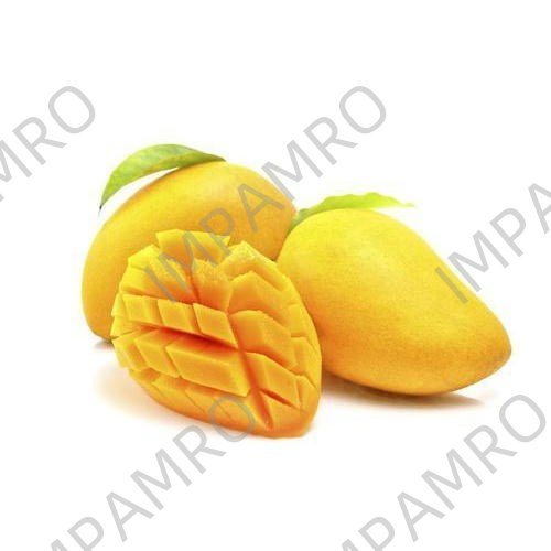 000542 MANGO FRESH