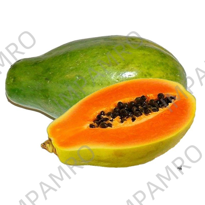 000558 PAPAYA FRESH