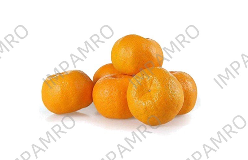 000551 ORANGE MANDARIN FRESH