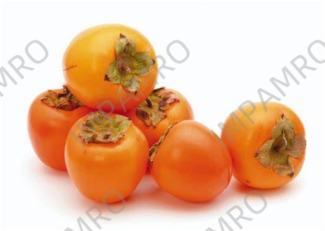000562 PERSIMMON FRESH
