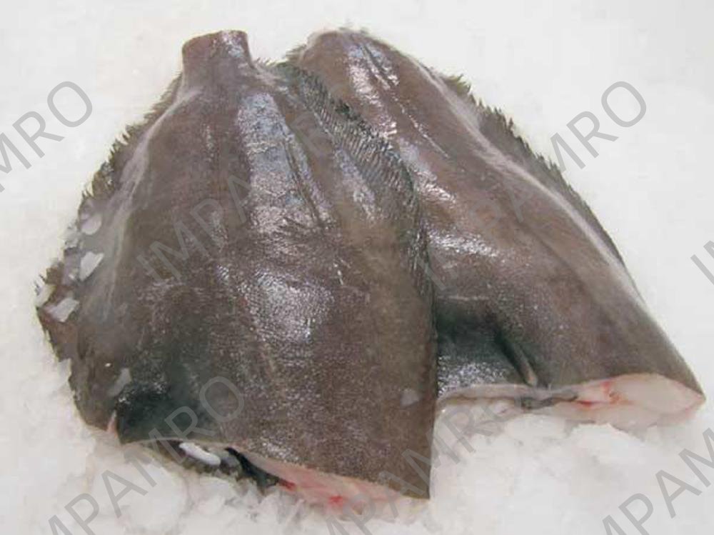 000719 HALIBUT HEADLESS FROZEN