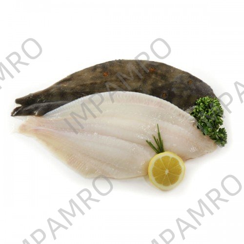 000738 PLACE FILLET FROZEN