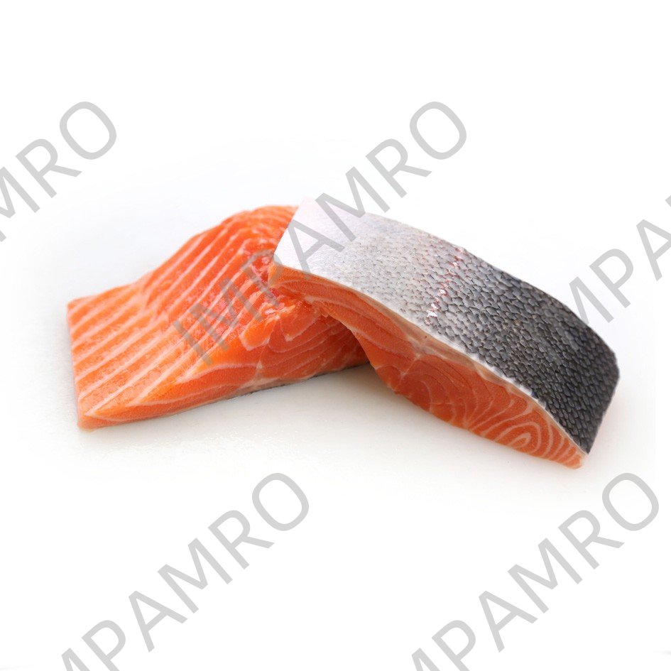 000746 SALMON FILLET FROZEN