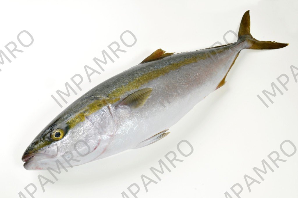000782 YELLOW TAIL (BURI) FROZEN