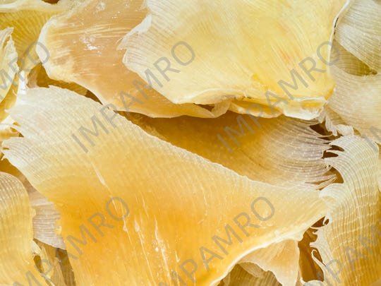 000949 SHARK'S FIN DRIED