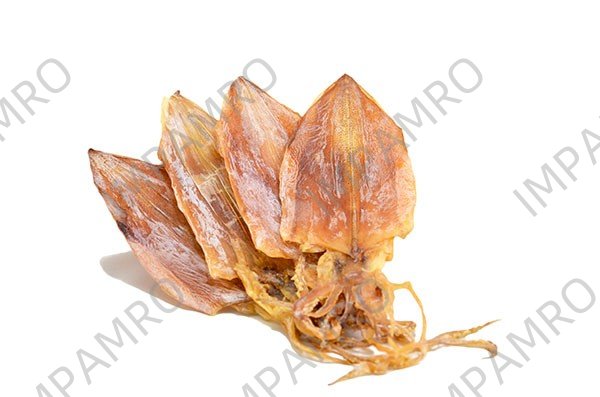 000952 SQUID DRIED