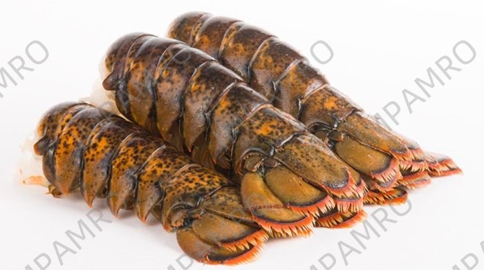 001128 LOBSTER TAIL FROZEN