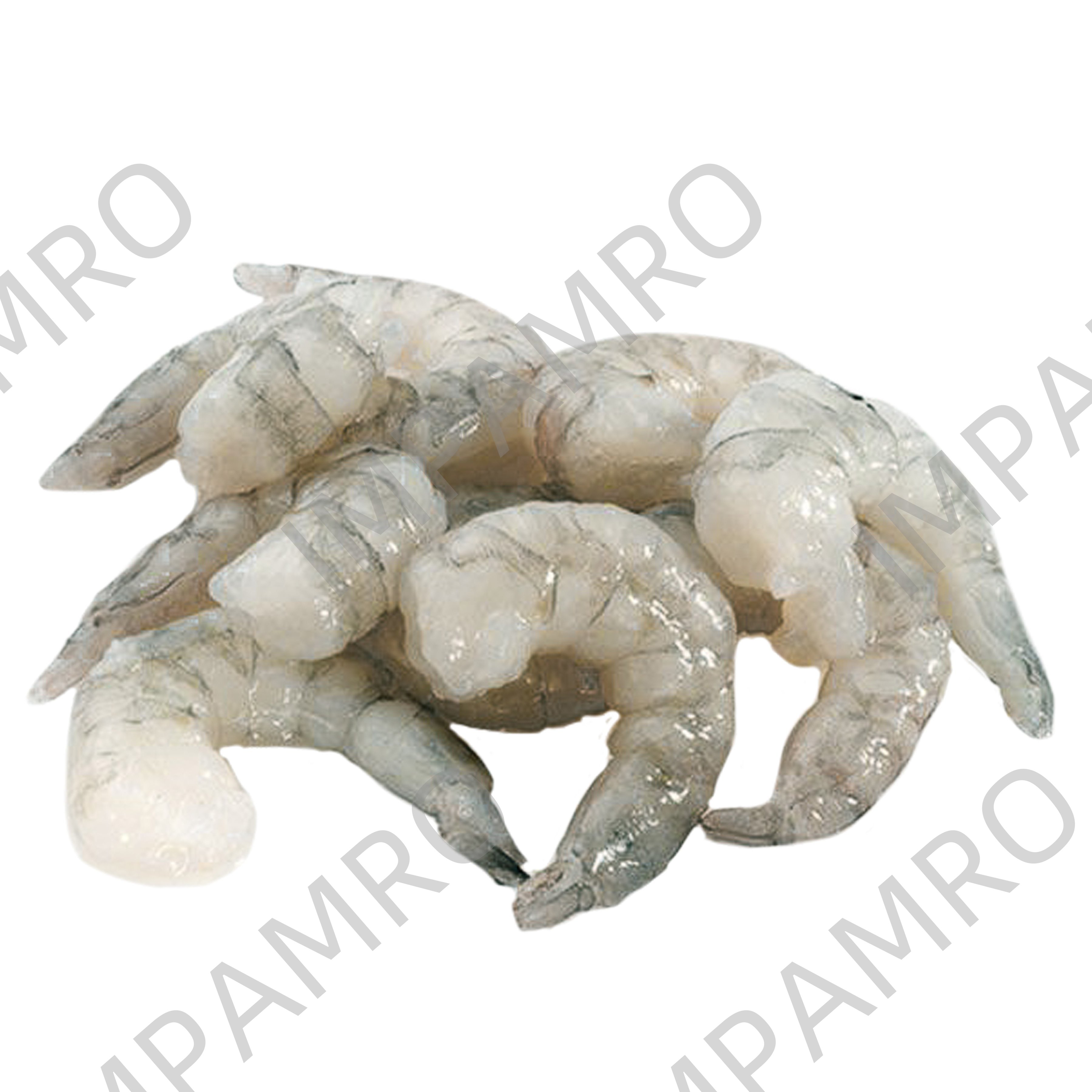 001137 SHRIMP PEELED FROZEN