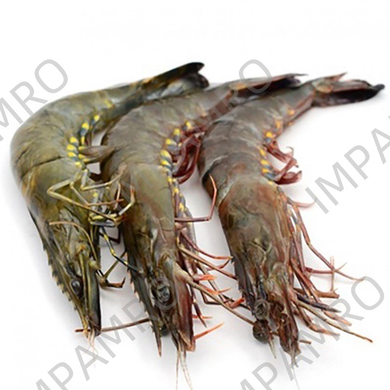 001131 PRAWN WHOLE FROZEN