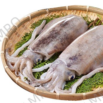 001153 INK FISH FROZEN