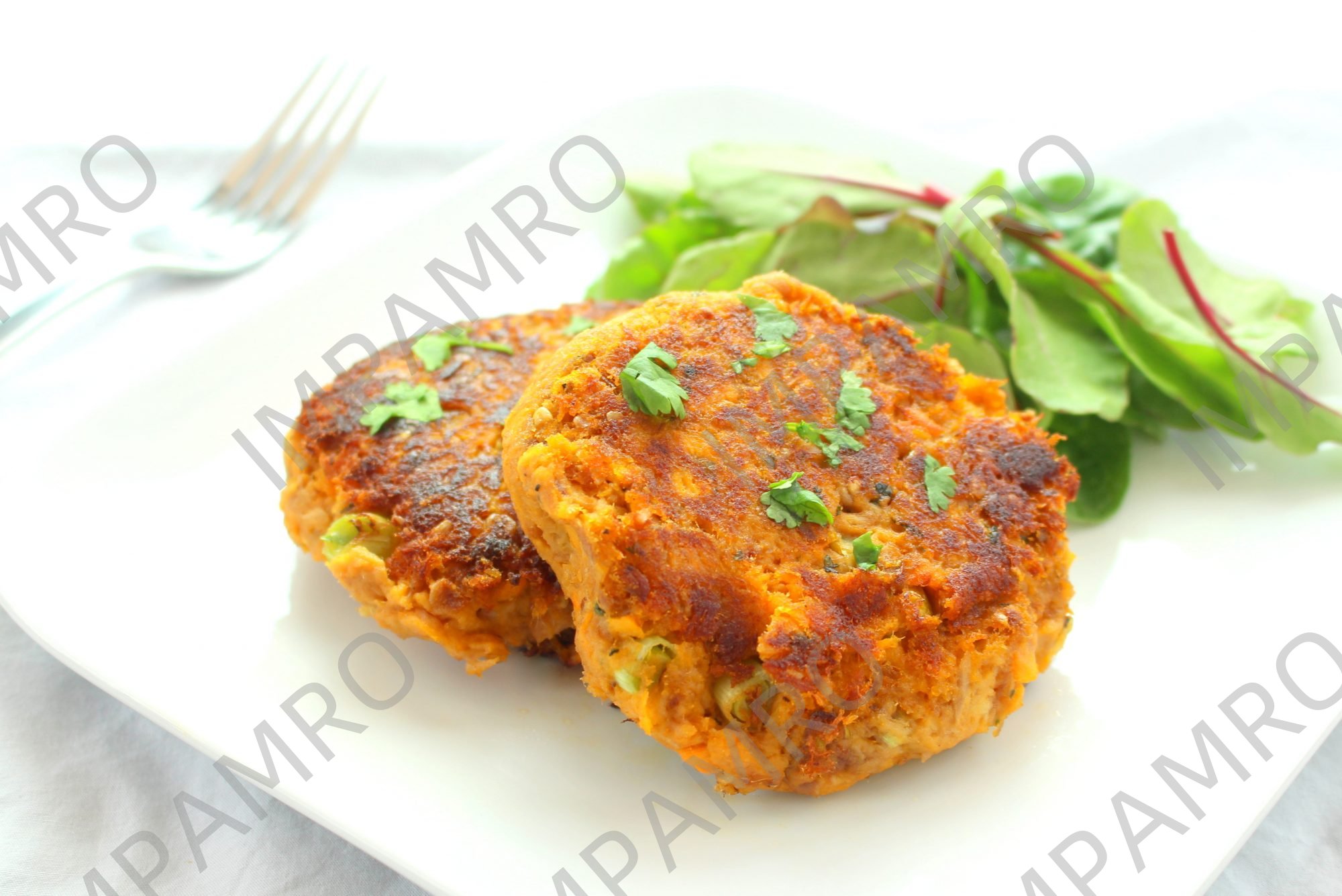002825 FISH CAKE TINNED