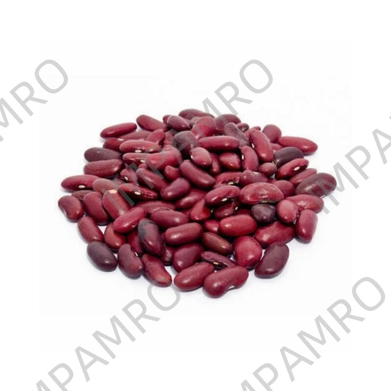003205 BEANS KIDNEY BROWN DRY