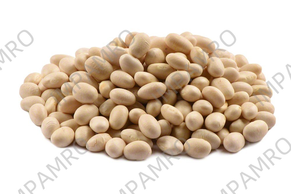 003209 BEANS RAJMA