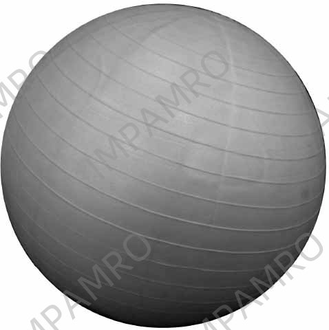 EXERCISE BALL