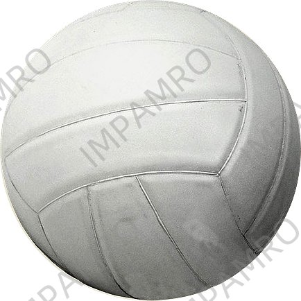 VOLLEY BALL RUBBER