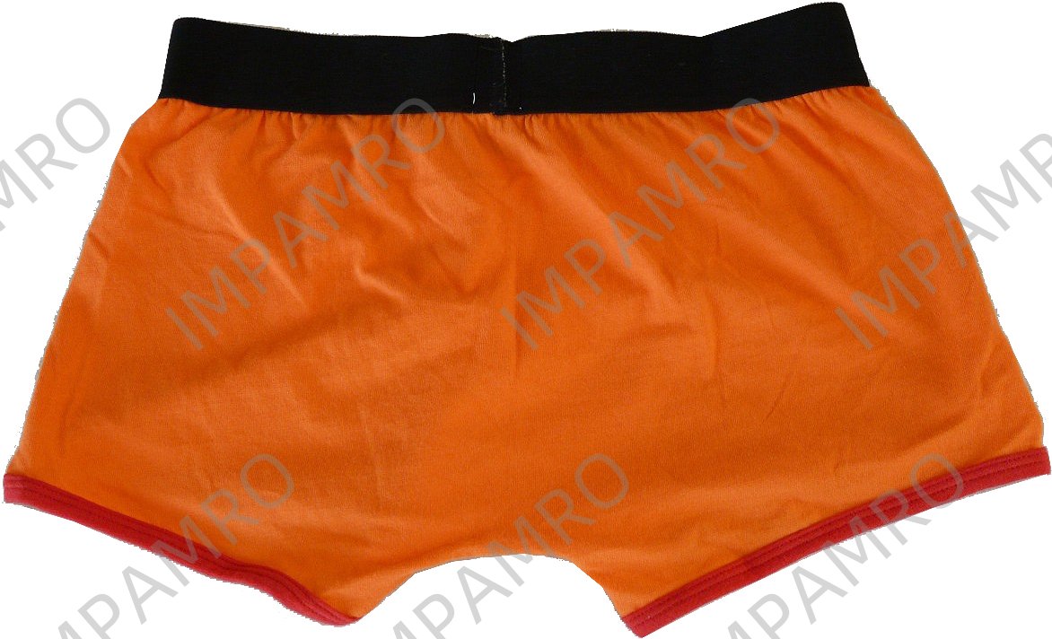 BRIEF COTTON COLORED SIZE-L