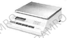 SCALE PORTABLE DIGITAL, CAPACITY 30.0KGS