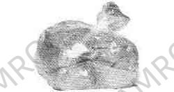 SPARE BAG CAPACITY 150LBS FOR GARBAGE COMPACTOR