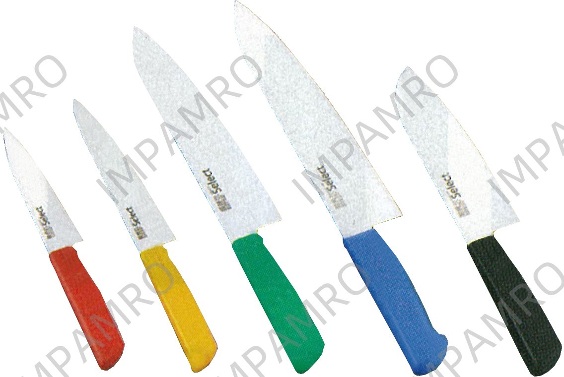 FRENCH KNIFE S. STEEL BLADE, 250MM W/GREEN PLASTIC HANDLE