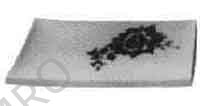 FISH PLATE GRILLED CHINA JAPANESE STYLE 183X128MM